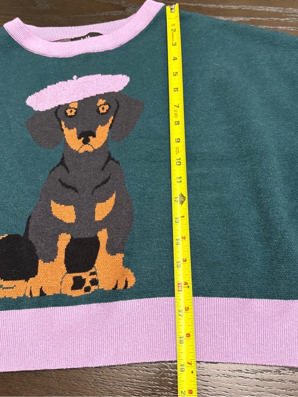 Dressed in LALA Teal Crewneck Sweater with Pink Trim & Dachshund Graphic - Picture 9 of 12